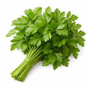 פטרוזיליה (2)