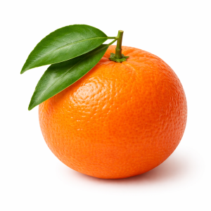 קלמנטינה (2)