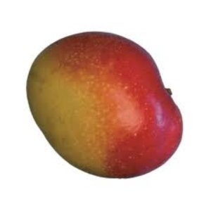 מנגו
