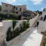 גינה עם צמחייה ודקלים, דשא וסביבה