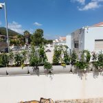 תמונה של גינה עם אדניות מלאות