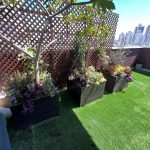 חצר גג עם עצים, מדשאה וצמחייה