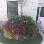 ערוגה עשירה בפרחים וצמחים שונים