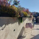 גינה מטופחת עם עציצים מלאים בפרחים