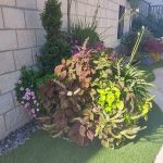 גינת פרחים צבעונית עם צמחים שונים