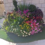 הרכב צבעוני של פרחים שונים בגן