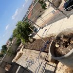 גינה עם עצים, פרחים ופלטפורמת עץ