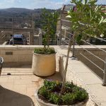 אדניות עם צמחים על מרפסת פתוחה