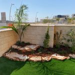 גינה בעיצוב מודרני עם צמחים שונים