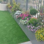 גינה עם פרחים וצמחיה בצבעים שונים