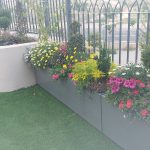 גינת פרחים צבעונית במיכלים מעוצבים