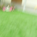 מדשאה ירוקה מטופחת עם פרחים צבעוניים