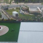 גינה מטופחת עם מדשאה, עציצים וצמחייה