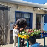 ילדה וגנן עובדים יחד עם פרחים