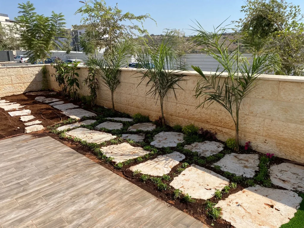 אבני מדרך בהירות בערוגה לצד שביל מרוצף ודקלים צעירים ליד הקיר
