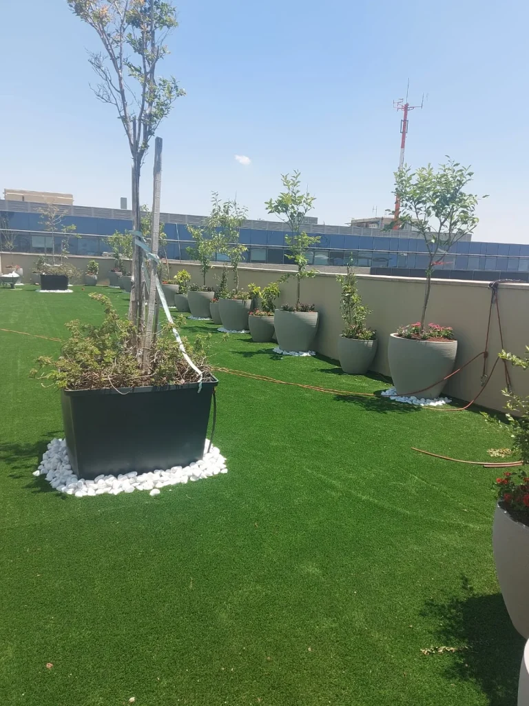 אדנית מלבנית כהה עם עץ צעיר על חצץ לבן, במהלך העבודה על הגג