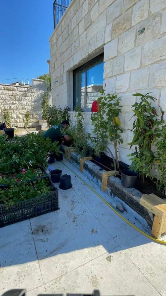 שתילים לפני שתילה לאורך קיר הבית