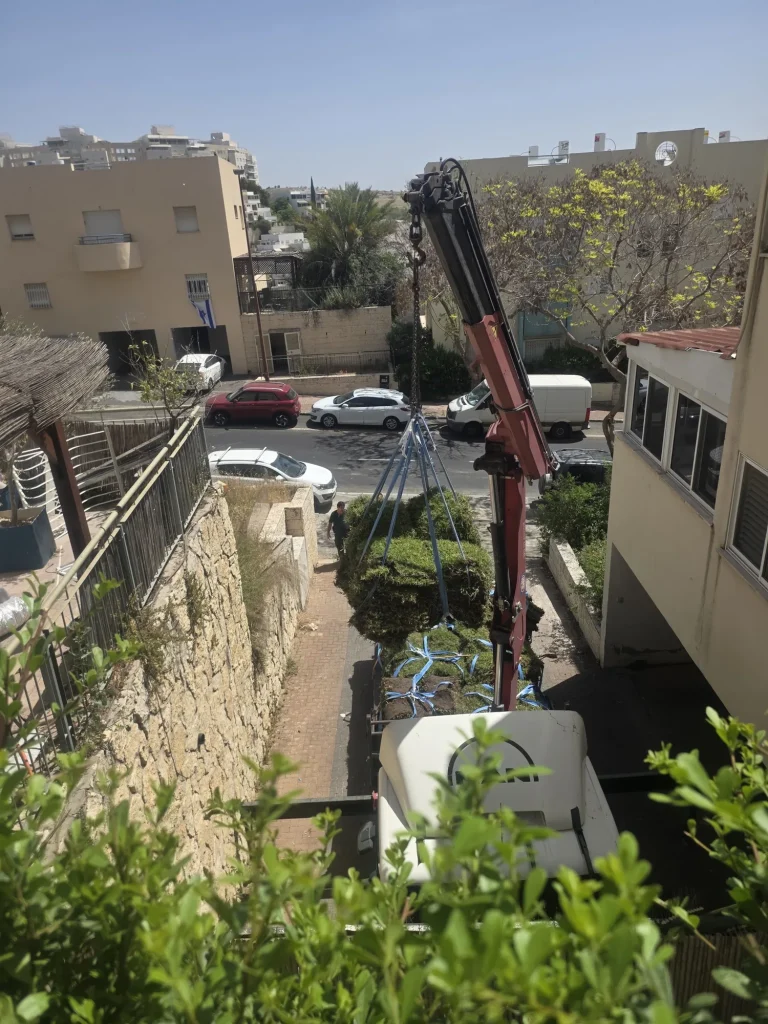 משטח עם גלילי דשא מונף במנוף אל החצר