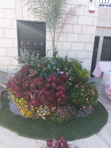 גיזום עצי נוי
